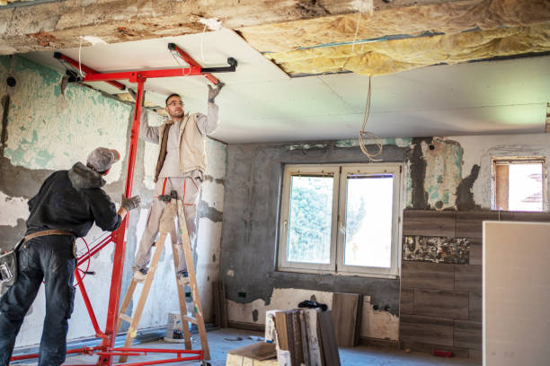 Best Geographic-Specific Insulation Services in Shadybrook, TX