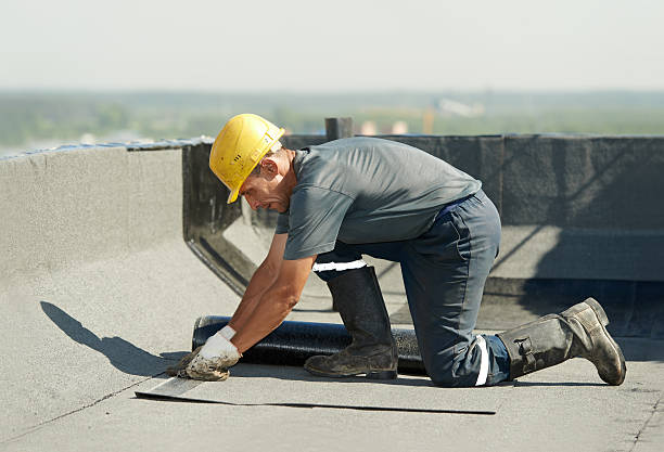 Best Eco-Friendly Insulation in Shadybrook, TX