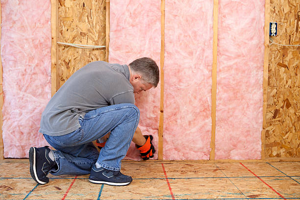 Best Spray Foam Insulation in Shadybrook, TX