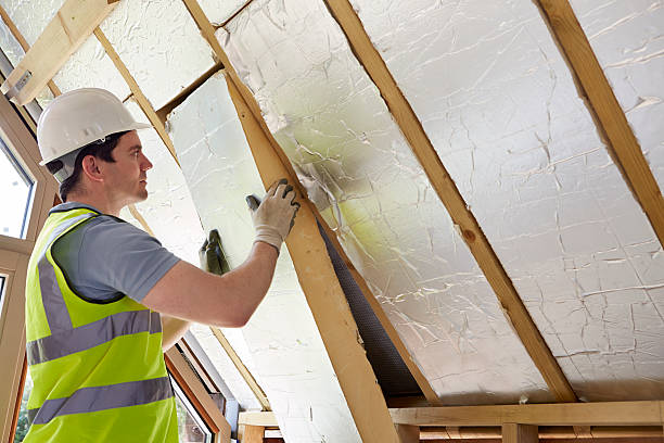 Best DIY Insulation Kits and Guidance in Shadybrook, TX
